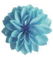 Flower1