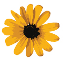 Flower2