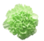 Flower5